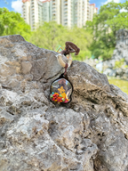 (Good Fortune & Protection) Six-Armed Mahakala Tibetan Thangka Pendant Necklace